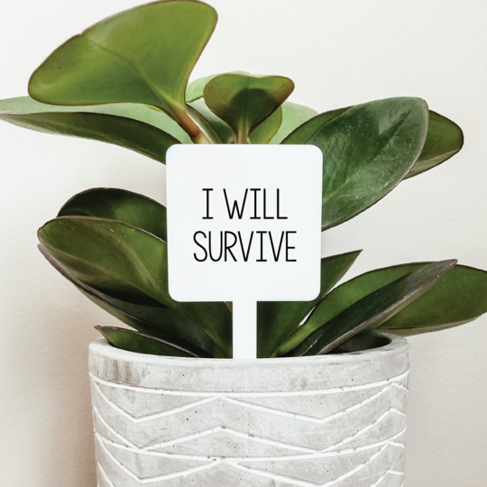 I Will Survive Plant Marker