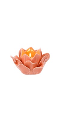Spring Sprout Tealight, Apricot